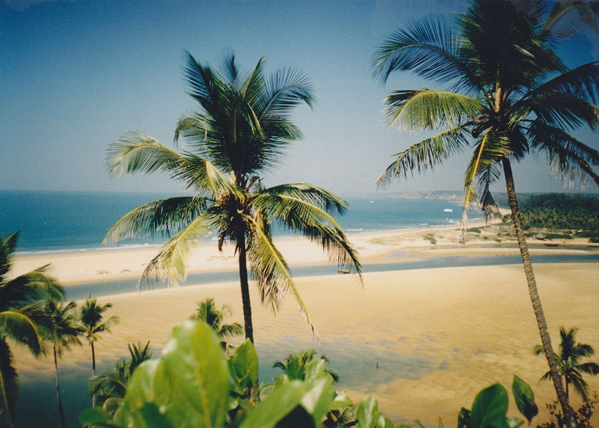 Best Place to visist in Feburary India: सस्ते में शानदार Vacation का मौका, February में इन जगहों पर करें Low Budget Trip