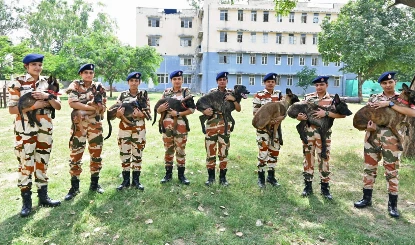 ITBP Dog Training | मौत की गंध पहचानता है यह बेजुबान जांबाज! बारूद के ढेर पर बैठकर जवानों की जान बचाता है ITBP का 