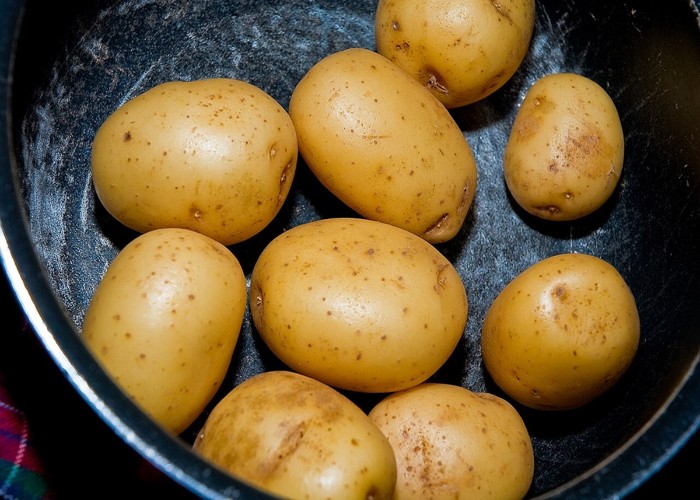 Potato Boiling Tips:  अब पानी नहीं, नमक से उबलेंगे आलू, Pressure Cooker की यह Secret Trick बचाएगी गैस और समय