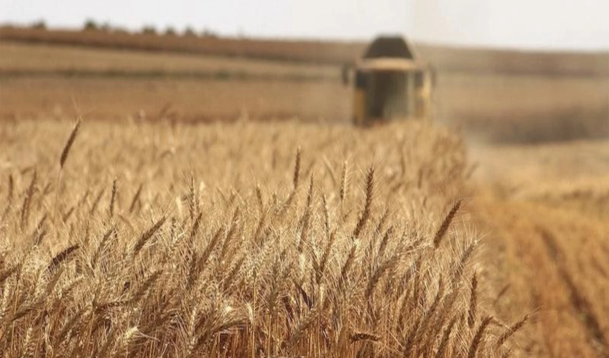 Pakistan wheat crisis Pakistan wheat crisis