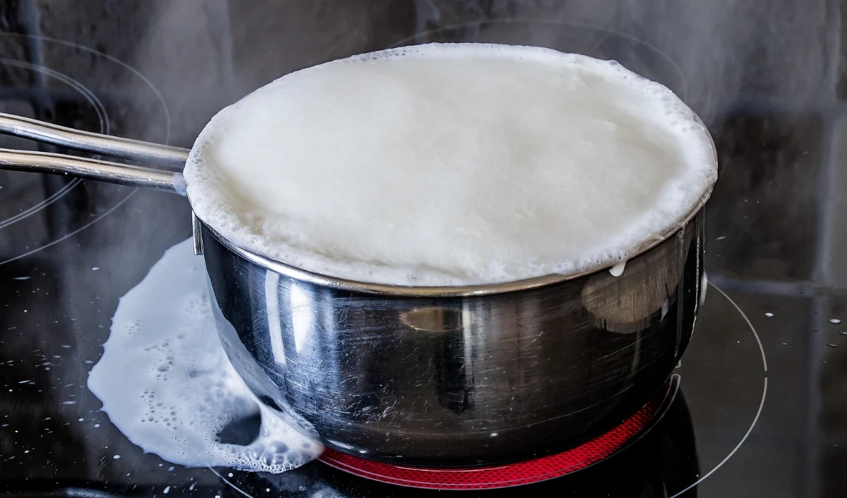 Andhra Pradesh Milk Tragedy | सफेद जहर का तांडव, रसोई तक पहुँचा मौत का दूध, 12 लोगों की मौत