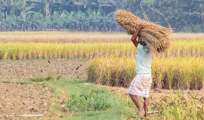 किसानों का इंतजार खत्म! PM Kisan योजना की 22वीं किस्त जारी, Account में आए ₹2000, ऐसे करें Check