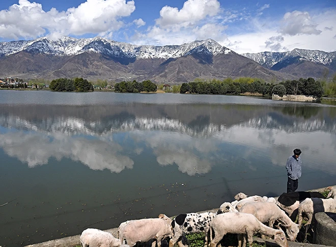 श्रीनगर में डल झील की मनमोहक तस्वीरें