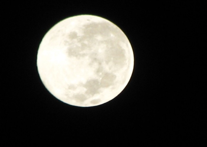 Falgun Purnima 2026 Date: Falgun Purnima 2026 की Date पर बड़ा कन्फ्यूजन, जानें 2 या 3 मार्च, कब रखें व्रत और क्या है Puja Time