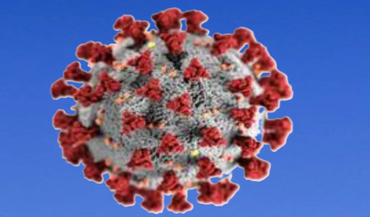America में COVID के New Variant BA.3.2 का कहर, 75 म्यूटेशन वाला वायरस कितना खतरनाक?