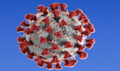 America में COVID के New Variant BA.3.2 का कहर, 75 म्यूटेशन वाला वायरस कितना खतरनाक?