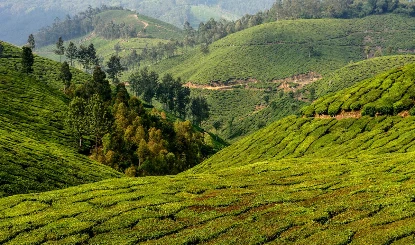 Kerala Profile: जब Vasco da Gama ने बदला इतिहास, मसालों से सियासत तक की पूरी कहानी