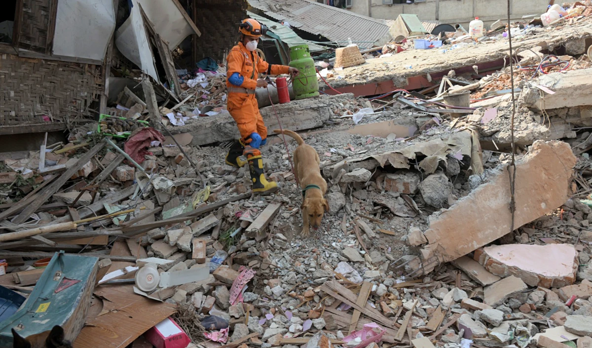 Indonesia Earthquake | सुमात्रा द्वीप में भूकंप के तेज झटके! रिक्टर स्केल पर 6.1 की तीव्रता, सुनामी का खतरा नहीं