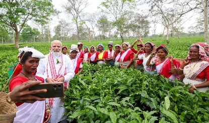 Assam के Dibrugarh में PM Modi का यादगार अनुभव, महिला श्रमिकों संग चायपत्ती तोड़ी, Selfie भी ली