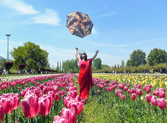 इंदिरा गांधी मेमोरियल ट्यूलिप गार्डन में पर्यटक