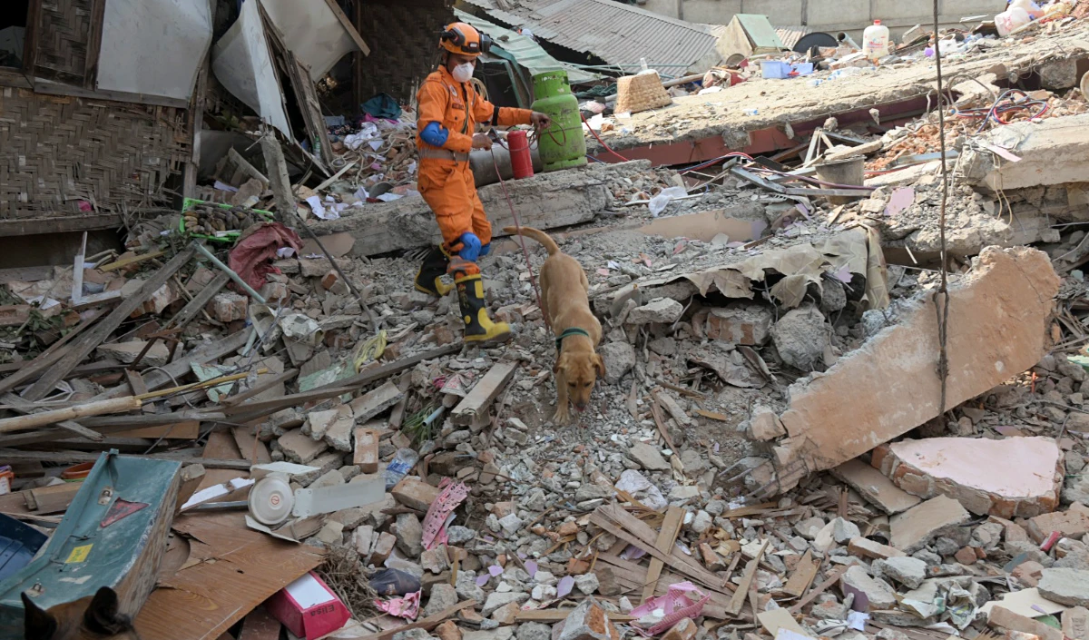 Indonesia Earthquake | इंडोनेशिया में 7.4 तीव्रता का ज़बरदस्त भूकंप! मोलुक्का सागर में उठा समंदर, सुनामी की चेतावनी जारी