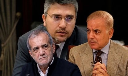 भरोसे के लायक नहीं...ईरानी सांसद ने पाकिस्तान को बुरी तरह ठोका