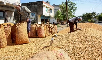 Food Security पर केंद्र का बड़ा बयान, 