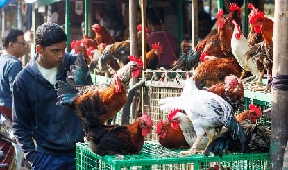 धर्मनगरी Haridwar में मांस बिक्री पर Total Ban! नगर निगम सीमा से बाहर शिफ्ट होंगी सभी दुकानें