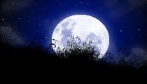 Vaishakha Purnima 2026: वैशाख पूर्णिमा पर करें ये खास काम, जानें स्नान-दान की Full Details