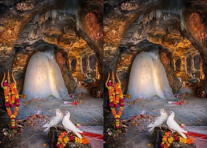 Amarnath Yatra Mystery: अमर कबूतरों का जोड़ा, जानें बाबा बर्फानी की गुफा का अनसुना रहस्य