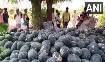 Chhattisgarh में शादी का जश्न मातम में बदला, Watermelon खाने से किशोर की मौत, 4 की हालत गंभीर