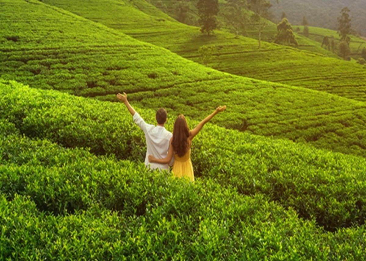 Honeymoon Destination: Delhi से हनीमून ट्रिप प्लान बना रहे कपल्स के लिए जरूरी जानकारी, इन जगहों पर घूमने जाना आपको पड़ सकता है महंगा