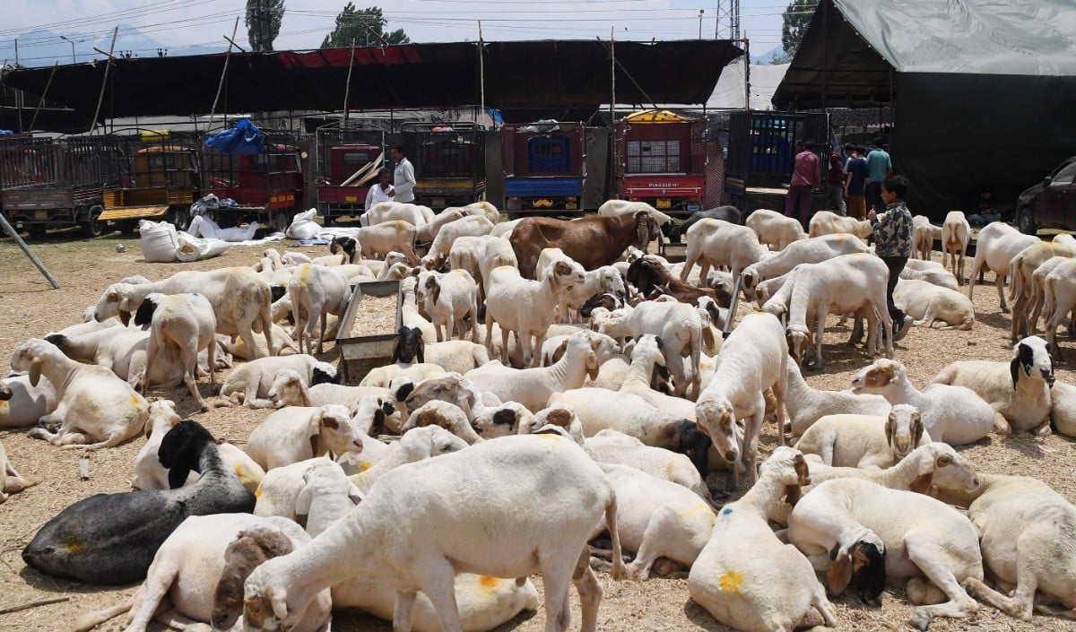 Bakrid Bakrid