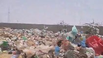 Jaisalmer में 300 गायों के शवों का अंबार, Dumping Yard में दिखा लापरवाही का Shocking मंजर