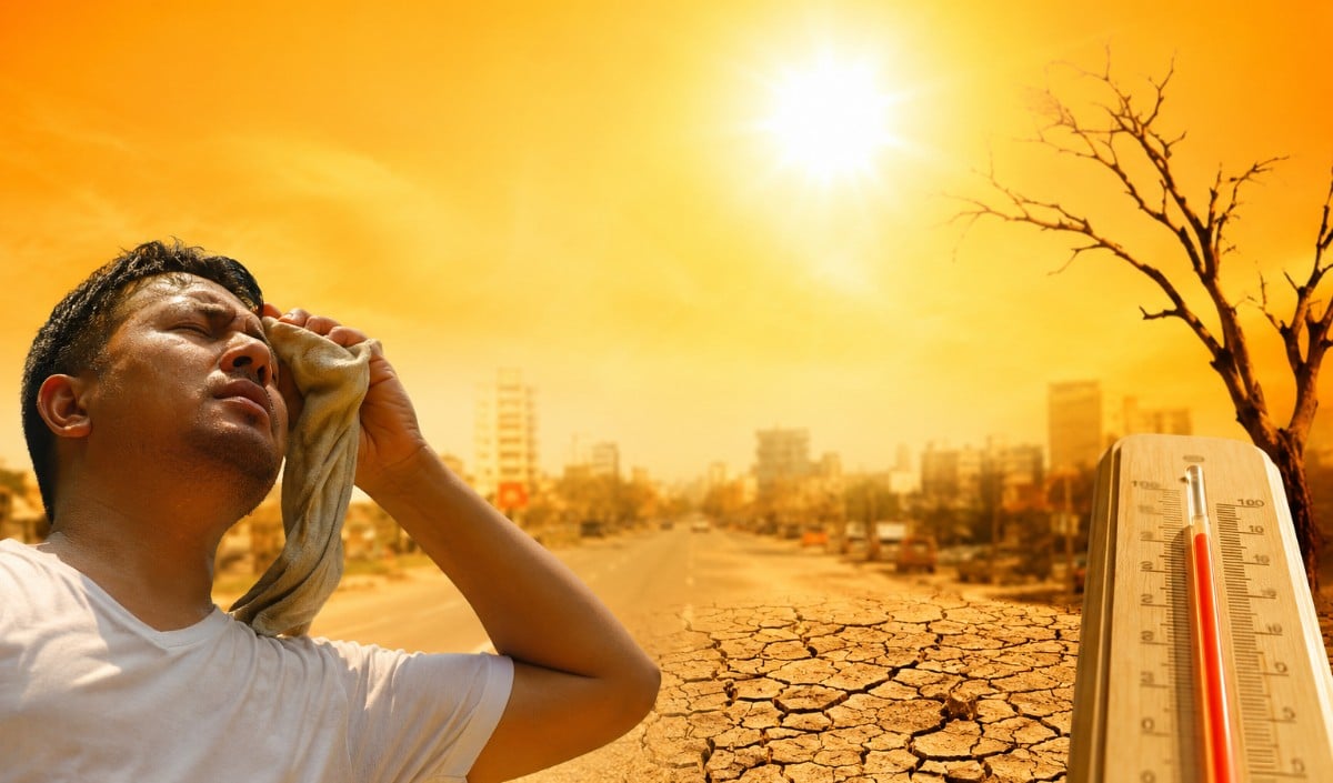 Health Alert Spot Heatstroke Health Alert Spot Heatstroke