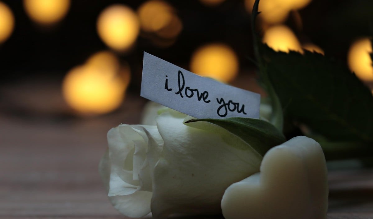 Love Love