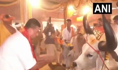 पश्चिम बंगाल CM Suvendu Adhikari ने ISKCON Mayapur में की गौ पूजा, लिया आशीर्वाद