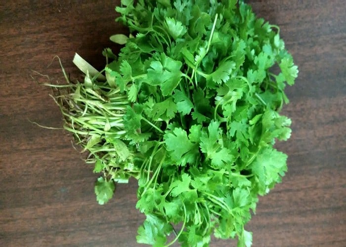 Kitchen Hacks: धनिया स्टोर करने की No Tension! इन Freshness Hacks से हफ्तों तक चलेगा, पैसे भी बचेंगे