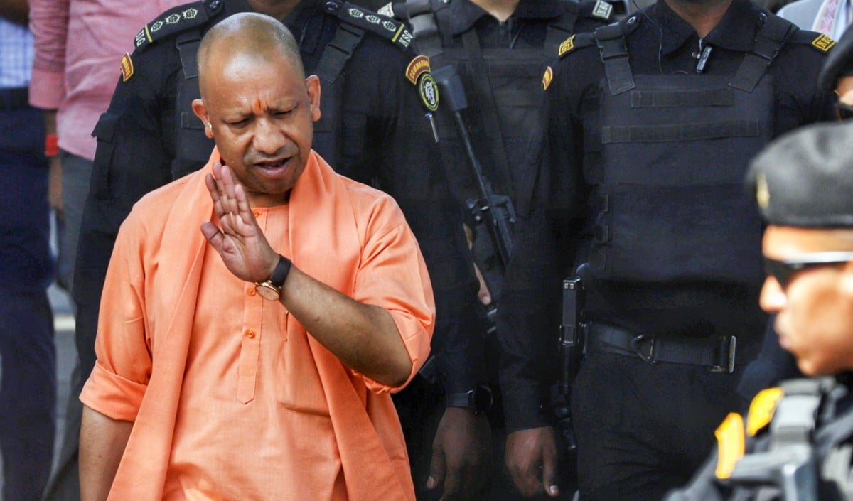 Yogi Yogi