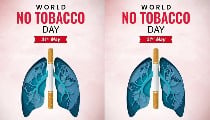 World No Tobacco Day: सेहत ही नहीं, पर्यावरण का भी दुश्मन है तंबाकू, WHO ने क्यों शुरू किया ये दिन World No Tobacco Day: सेहत ही नहीं, पर्यावरण का भी दुश्मन है तंबाकू, WHO ने क्यों शुरू किया ये दिन