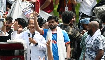 Cockroach Janata Party का ऐलान, 'शिक्षा क्रांति' के लिए जारी होगा Manifesto