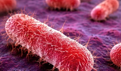 Wayanad में Shigella का कहर, स्कूल के 8 बच्चे Positive, इलाके में मचा हड़कंप
