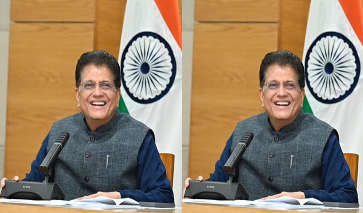 Piyush Goyal Birthday: बैंक की नौकरी से Modi Cabinet तक, ऐसा रहा है मंत्री पद का सफर