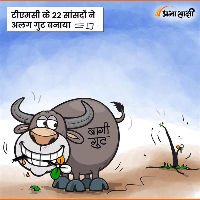 आज का कार्टून 15 जून 2026