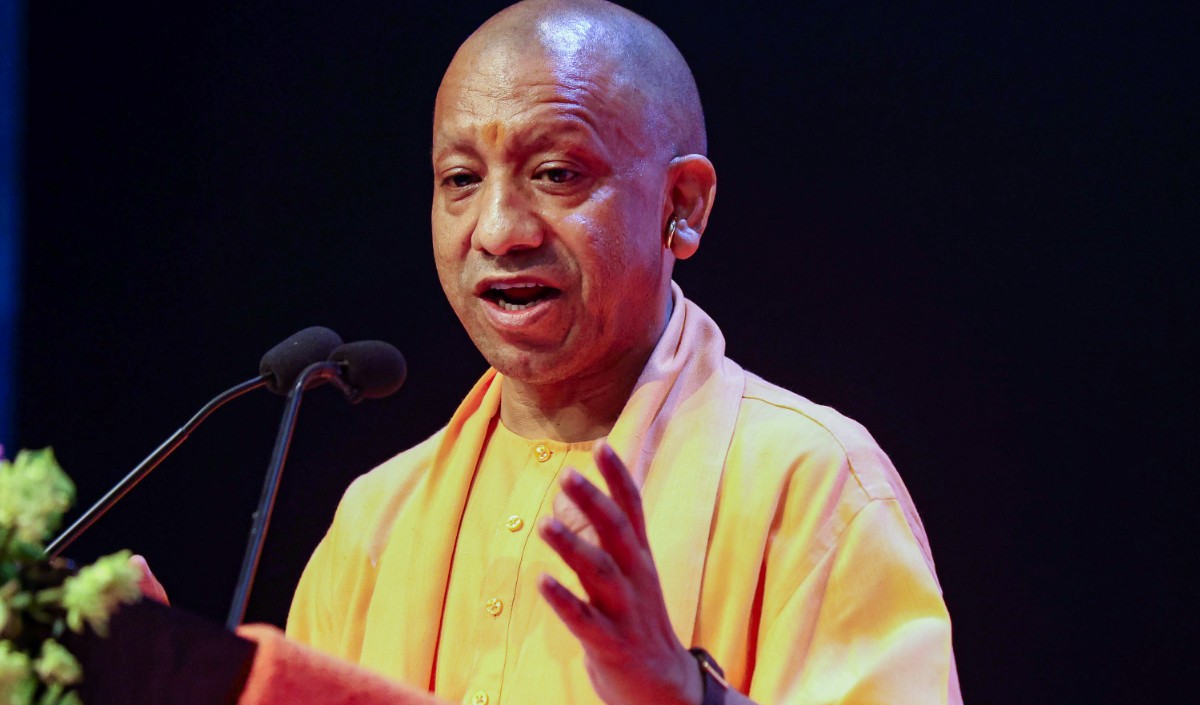 yogi yogi