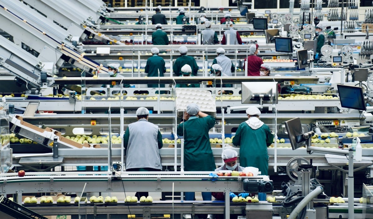 Services Sector Services Sector