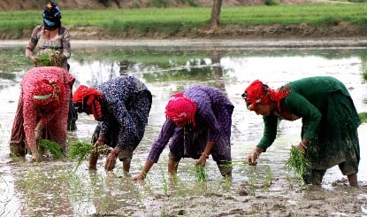महाराष्ट्र की Ladki Bahin Yojana के लिए 16 हजार पुरुष बनें महिला! लाखों अपात्रों को मिल रहा था लाभ