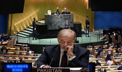 पानी दिलवा दो...UNSC में जाकर भारत का नाम लेकर रोया पाकिस्तान