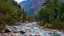 Himachal का Kasol बना Mini Israel, हर तरफ Hebrew भाषा और Israeli कल्चर का बोलबाला