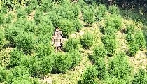 Lohagad Fort Murder Mystery | कातिल की एक 'हुडी' ने कैसे फेल कर दिया मंगेतर का परफेक्ट क्राइम प्लान? एक गलती और सलाखों के पीछे आरोपी