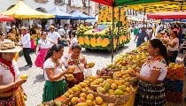 Delhi Haat में मैंगो लवर्स का मेला, 400 से ज्यादा वैरायटी और Unlimited Tasting का मौका