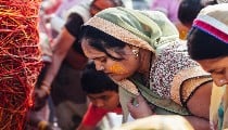 Vat Purnima 2026: अखंड सौभाग्य के लिए इस शुभ Muhurat में करें पूजा, जानें पूरी Puja Vidhi