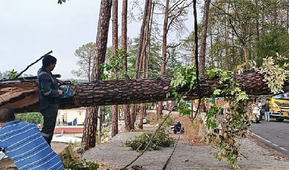 Mumbai Rain Effect: Chembur में School Bus पर गिरा विशाल पेड़, एक छात्र की दर्दनाक मौत, 4 घायल