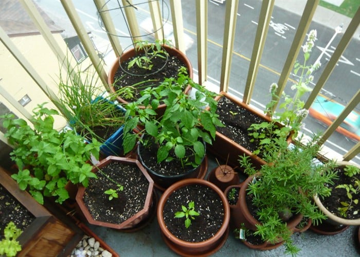 Old Tyre Reuse: अब कबाड़ नहीं बनेंगे पुराने Tyre, इन Eco-Friendly Ideas से घर के Garden को सजाएं