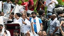 कॉकरोच जनता पार्टी के जंतर-मंतर प्रदर्शन से उपजते महत्वपूर्ण सवाल! कॉकरोच जनता पार्टी के जंतर-मंतर प्रदर्शन से उपजते महत्वपूर्ण सवाल!