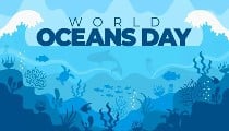 World Oceans Day 2026: Plastic Pollution से घुट रहा है समुद्र का दम, जानें इसका पूरा History और महत्व World Oceans Day 2026: Plastic Pollution से घुट रहा है समुद्र का दम, जानें इसका पूरा History और महत्व