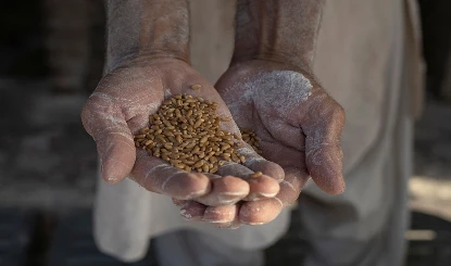 Karachi में सरकारी Price Control फेल, पाकिस्तान में गहराया आटा संकट, रोटी को तरसे लोग