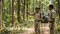 BPSSC Recruitment 2026: बिहार में फॉरेस्ट ऑफिसर की बंपर भर्ती, 16 July से करें Online Apply BPSSC Recruitment 2026: बिहार में फॉरेस्ट ऑफिसर की बंपर भर्ती, 16 July से करें Online Apply