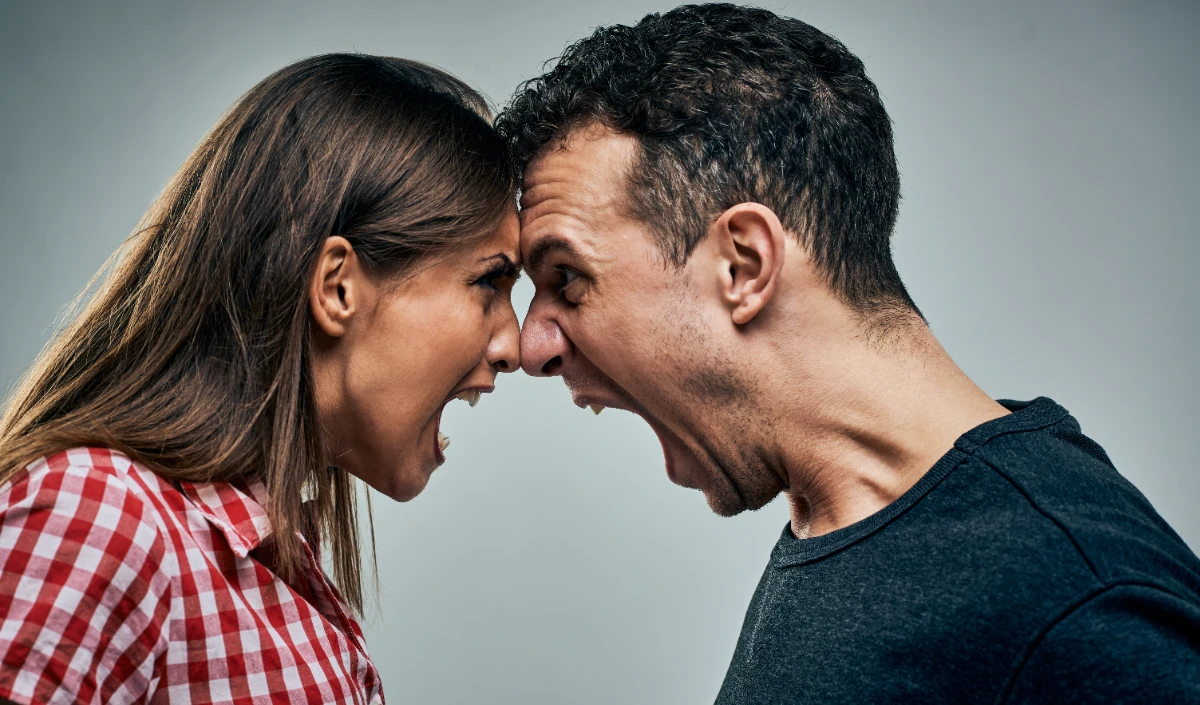 Couple Fights Couple Fights