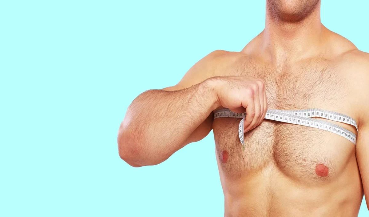 Muscle Building Muscle Building